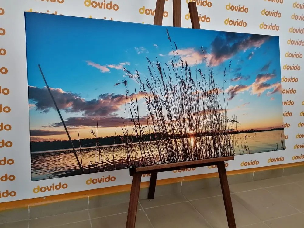 Картина на платно – Спокойна река до село