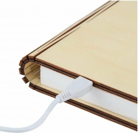 Светлинна декорация с USB в естествен цвят Booklight – Gingko