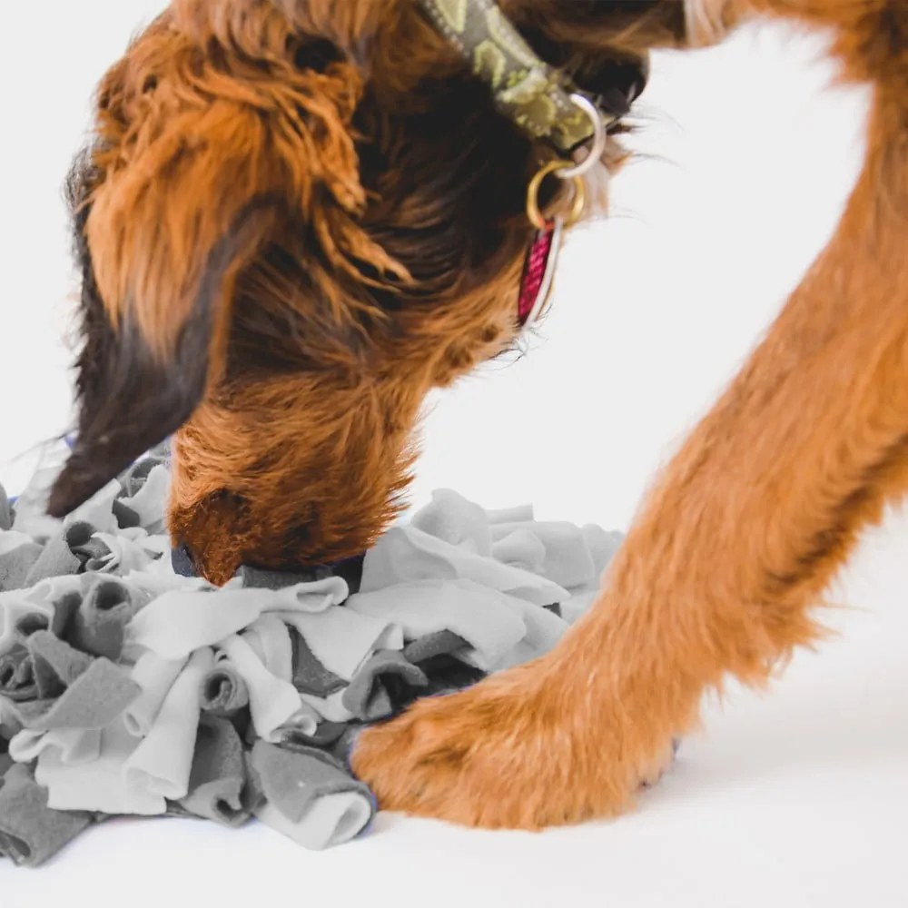 Подожка за обоняние – Love Story