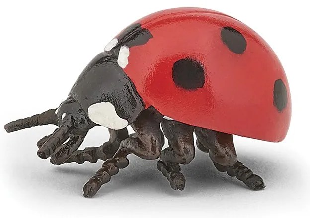 Papo - Фигурка калинка 50257