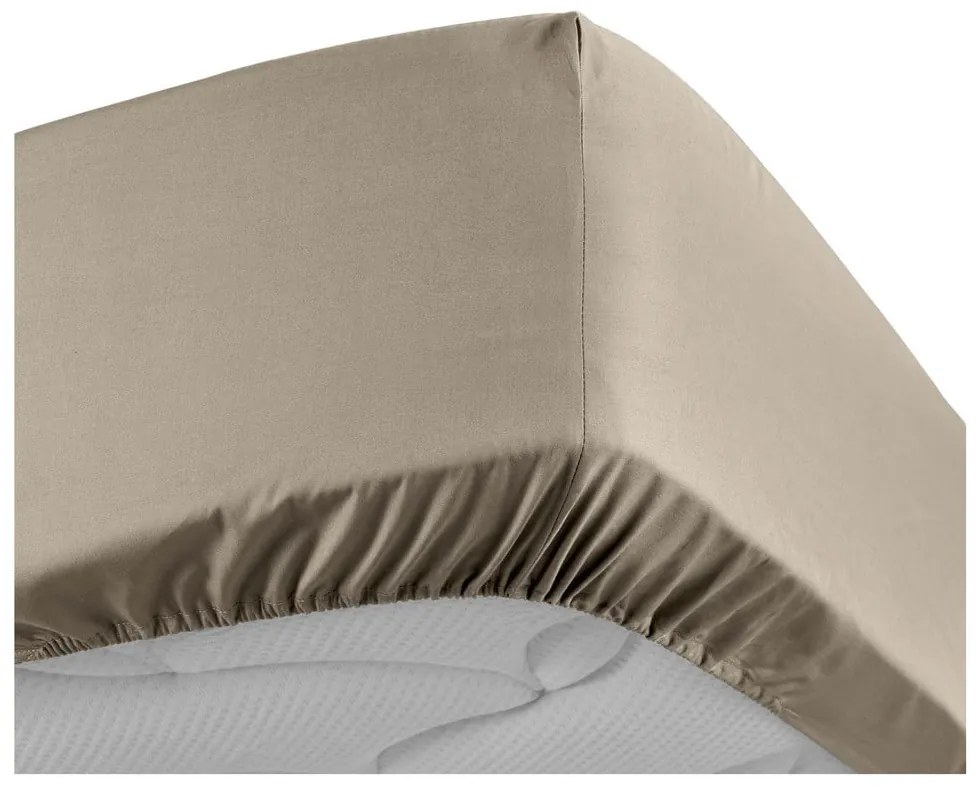 Светлокафяв еластичен чаршаф от памук перкал 180x200 cm Percaline – douceur d'intérieur