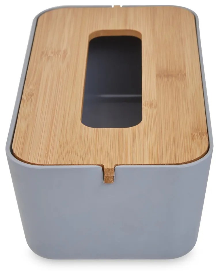 Пластмасова кутия за носни кърпички Canyon - Premier Housewares