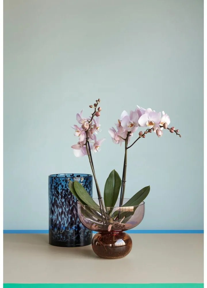 Комплект от 2 стъклени вази Hazy - Hübsch