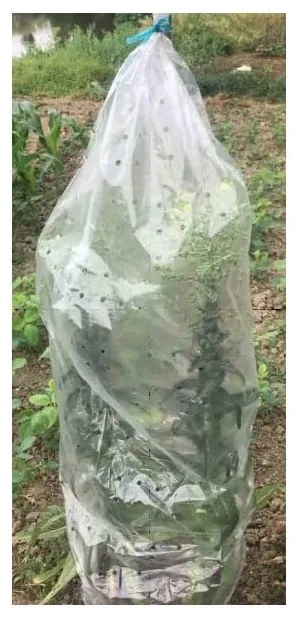 Градински брезент 5 бр. – Garden Pleasure