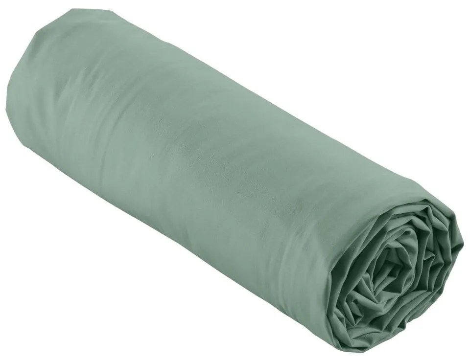 Зелен еластичен чаршаф от памук перкал 160x200 cm Percaline – douceur d'intérieur