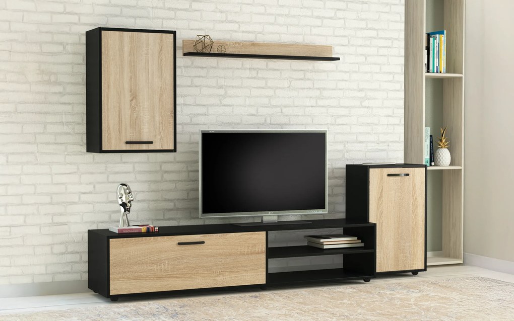 Секция Ризо