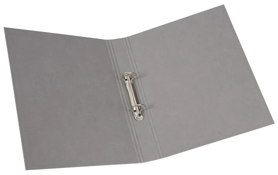 Картонен органайзер за документи Ringo - Bigso Box of Sweden