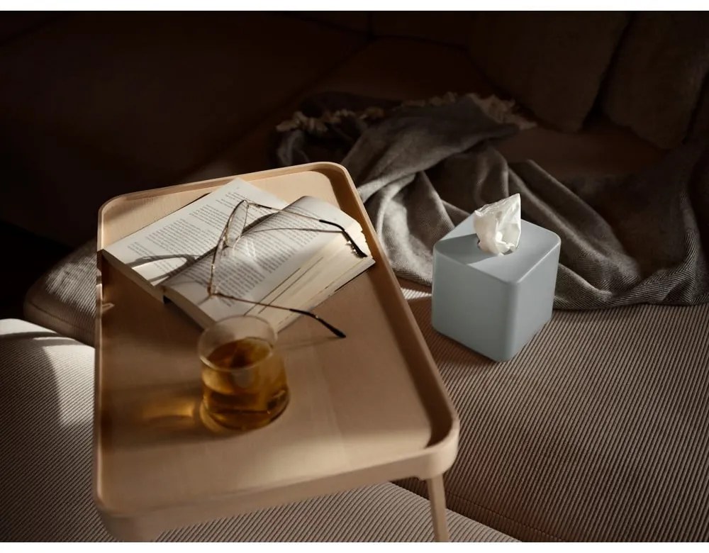 Пластмасова кутия за носни кърпички Ume – Zone