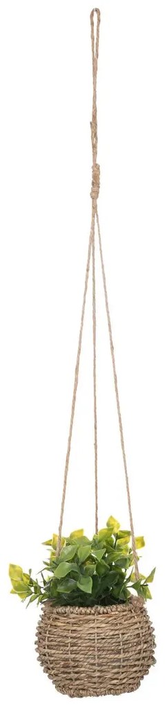 Изкуствено растение atmosphera Zoе, 17 cm, Различни видове