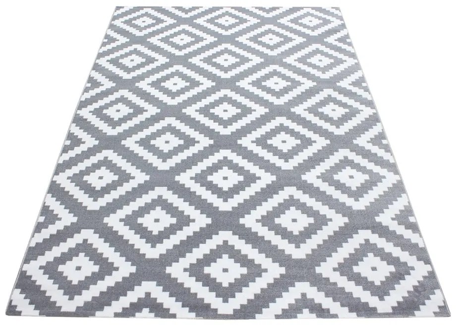 Светлосив килим 120x170 cm Plus – Ayyildiz Carpets