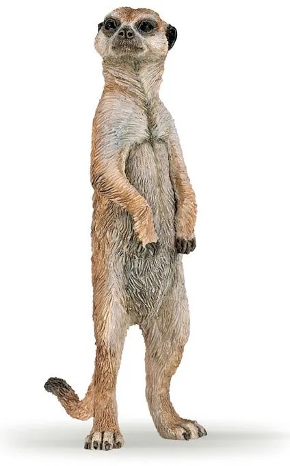 Papo - Фигурка стоящ сурикат 50206