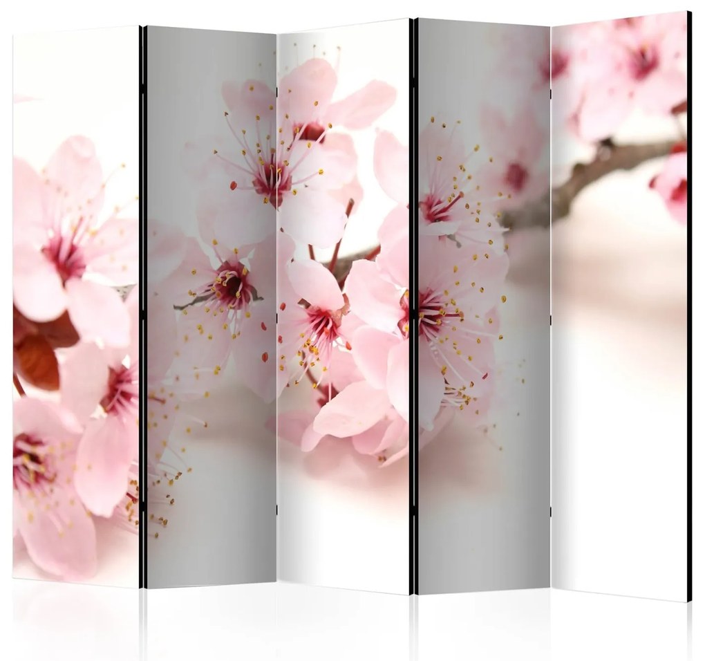 Cherry Blossom II - Cherry Blossom II 225x172