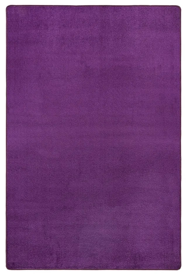 Тъмнолилав килим 160x240 cm Fancy – Hanse Home