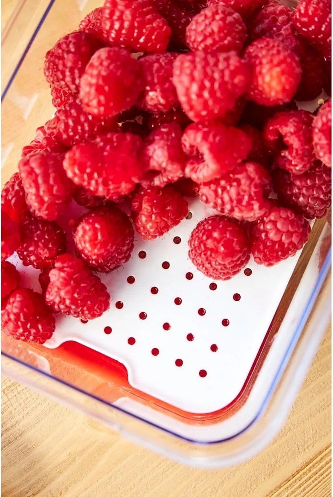 Пластмасов органайзер за хладилник Cauma – Rotho