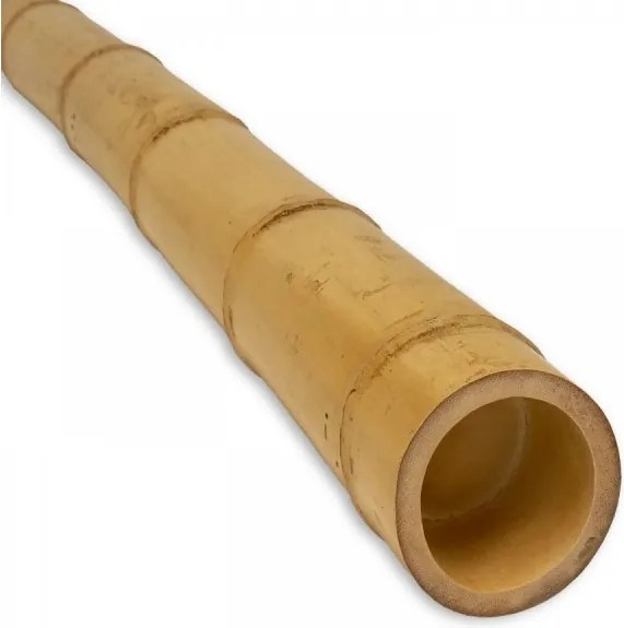 Бамбуков стълб, цвят натурал, ф50-60 cm  L-1.80m