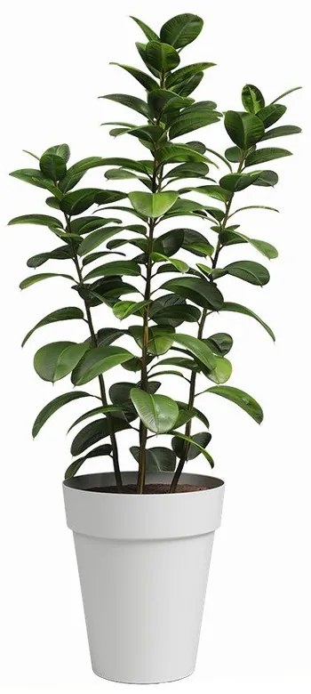 Саксия за цветя от рециклирана пластмаса ø 40 cm Capri – Artevasi