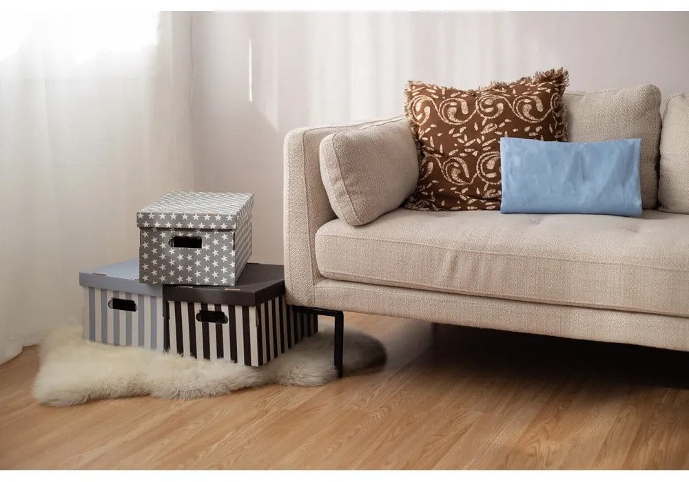 Картонени кутии за съхранение с капак в комплект от 2 броя Stripes - Compactor