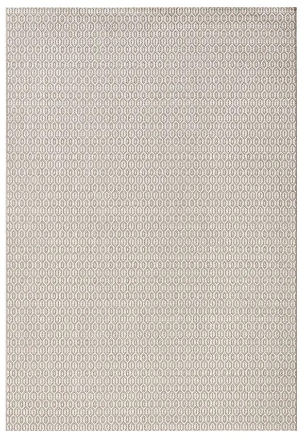 Сив килим за открито , 200 x 290 cm Coin - NORTHRUGS