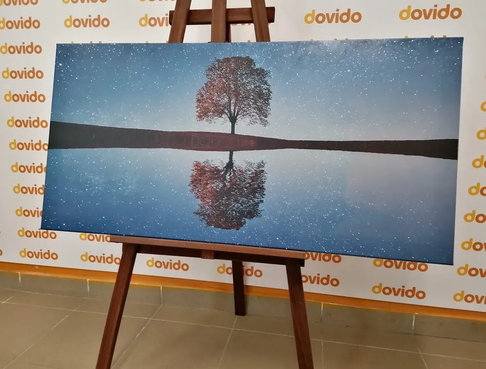 Картина на платно – Звездно небе над самотно дърво