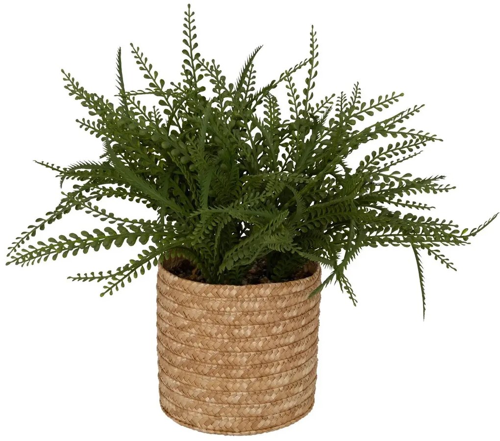 Изкуствено растение atmosphera Clemy Fern, 30 cm