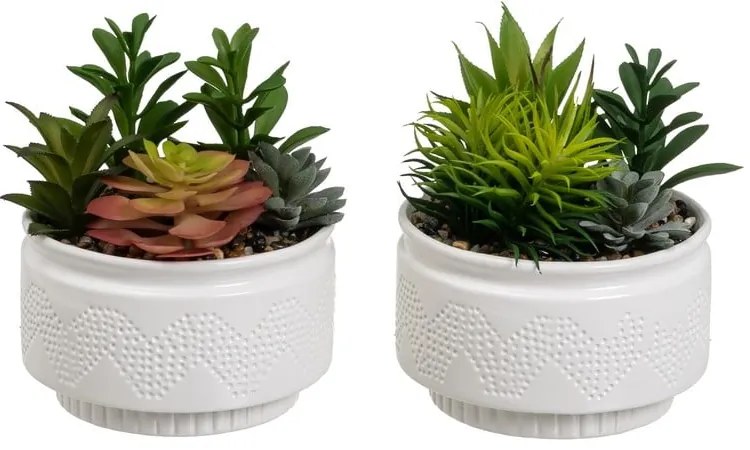 Изкуствени растения в комплект от 2 бр. (височина 19 cm) Cactus – Casa Selección