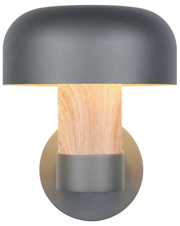 Стенно външно осветително тяло (височина 24,5 cm) Fraser – Trio