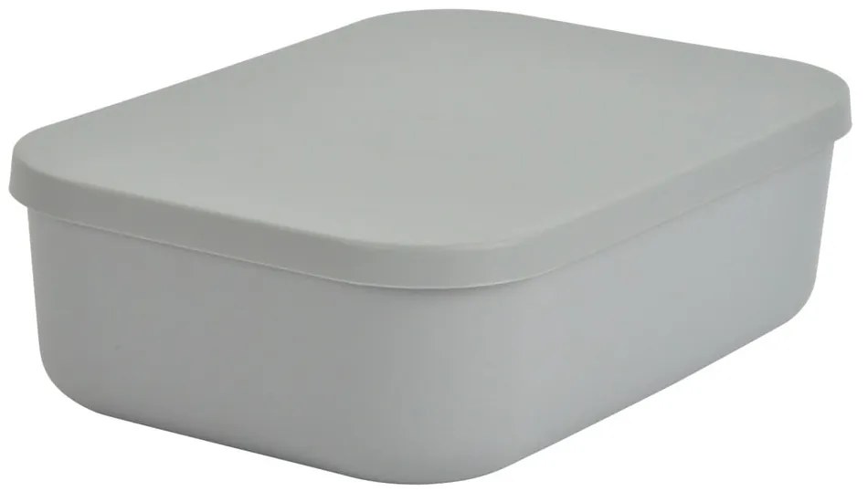 Сива пластмасова кутия за съхранение с капак 24x18x8 cm – Homéa