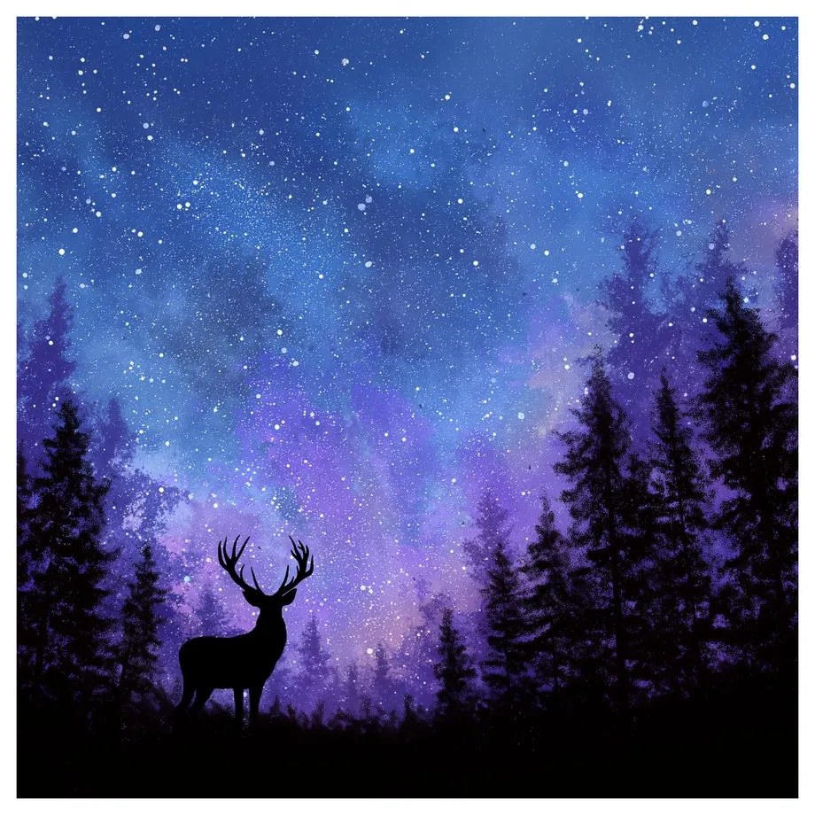 Картина на платно – Зимна магия на нощното небе в силуети