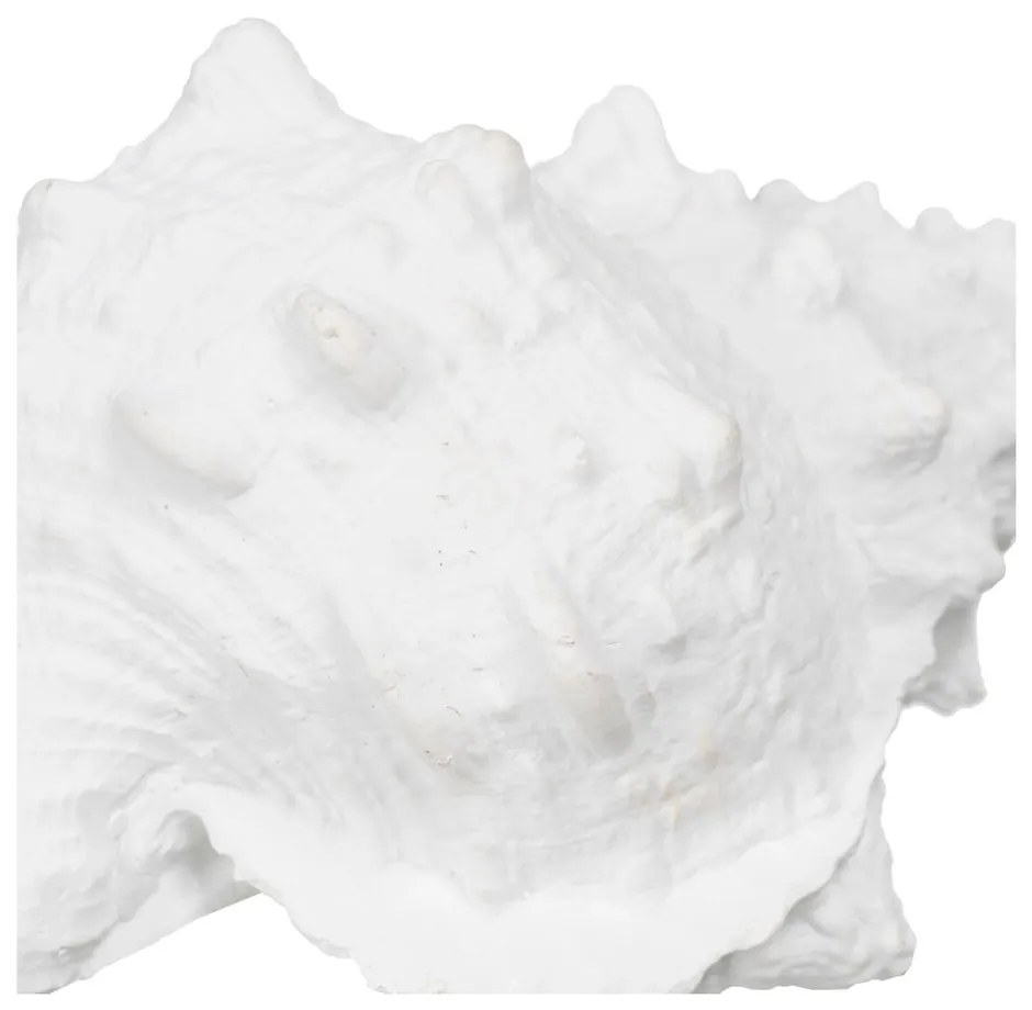 Статуя от полиресин (височина 12 cm) Seashell – Ixia