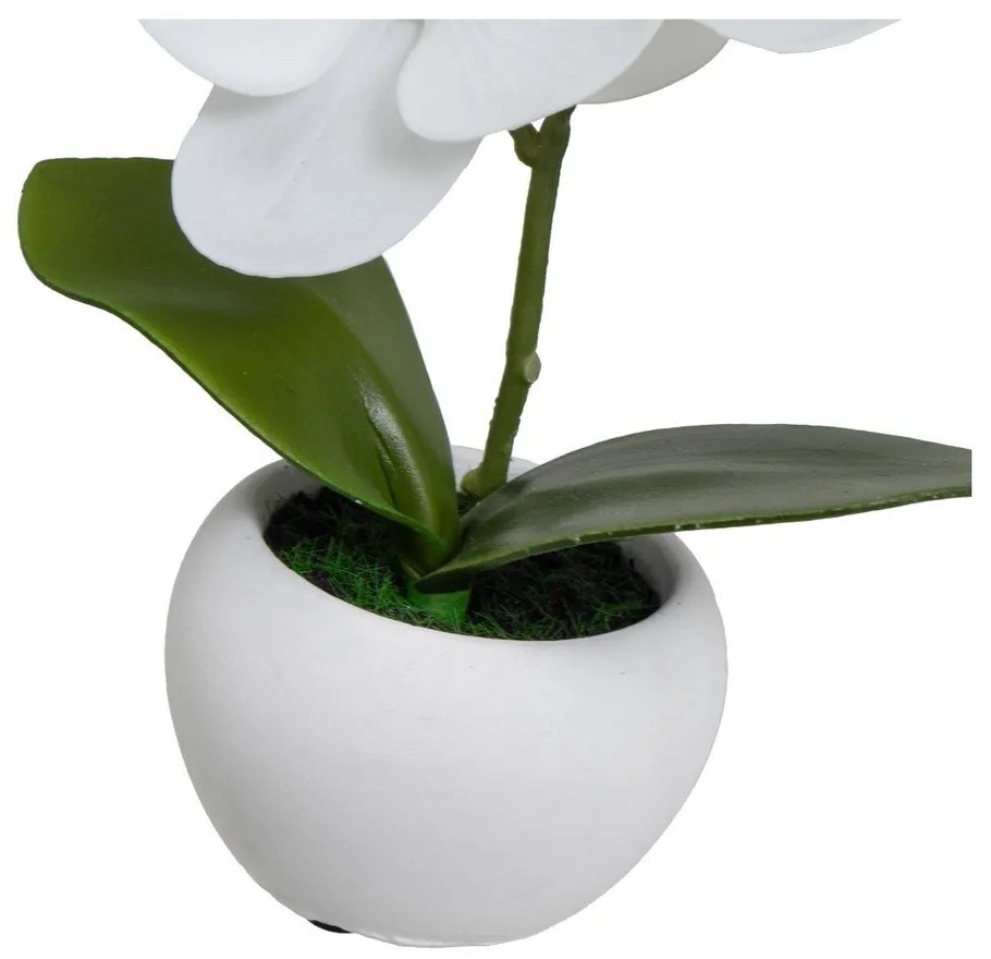 Изкуствени растения в комплект от 3 бр. (височина 15 cm) Orchid – Casa Selección