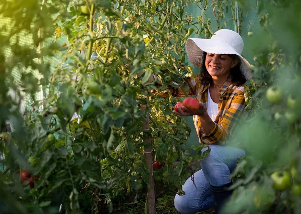 Градинска оранжерия 2 х 3,5 m
