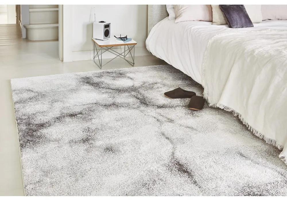 Сив килим 200x290 cm Dream – Asiatic Carpets