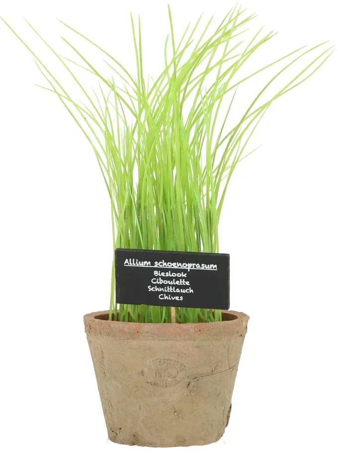Изкуствено растение (височина 27 cm) Chives – Esschert Design