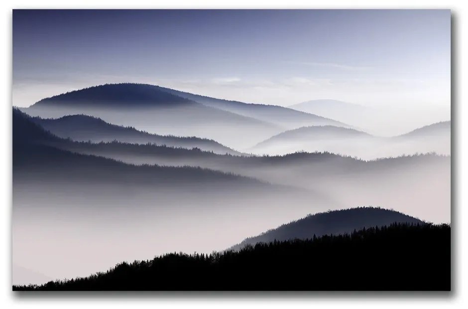 Живопис 70x45 cm - Wallity