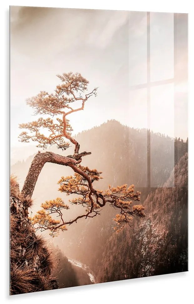 Картина върху стъкло 50x70 cm Brown Tree - Styler