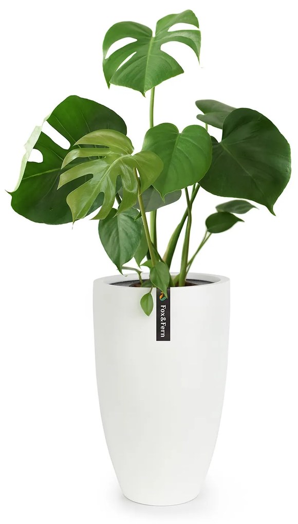 Fox & Fern Саксия Almere Fibre Stone, идеална за растения, ръчно изработена, конусовидна