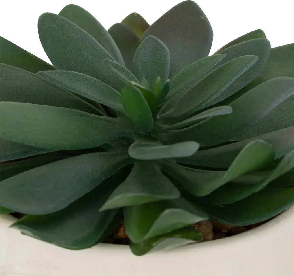 Изкуствено растение atmosphera Dusty Succulent, 22 cm, Различни видове