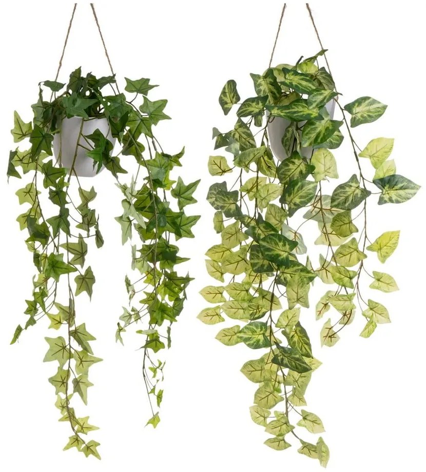 Изкуствени растения в комплект от 2 бр. (височина 55 cm) – Casa Selección