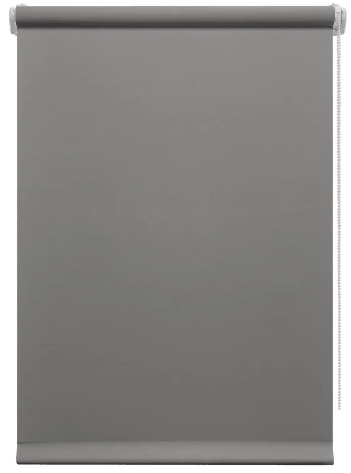 Тъмносива ролетна щора 97x150 cm Mini Relax – Gardinia