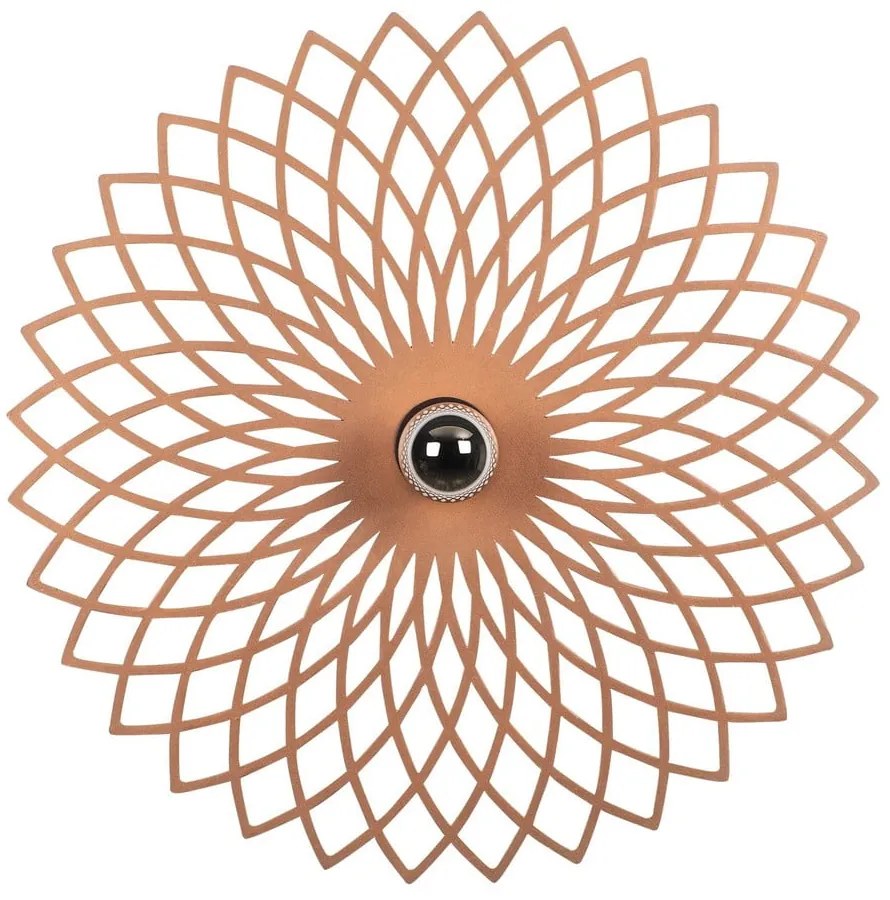 Стенна лампа в меден цвят Fellini – Opviq lights