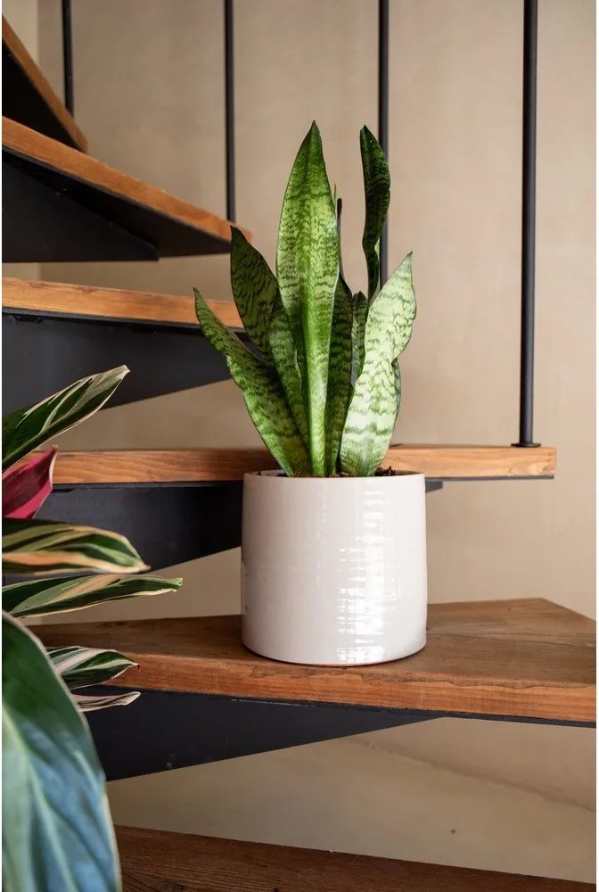 Керамично ръчно изработено покритие за кашпа ø 25 cm Fortuna – Artevasi