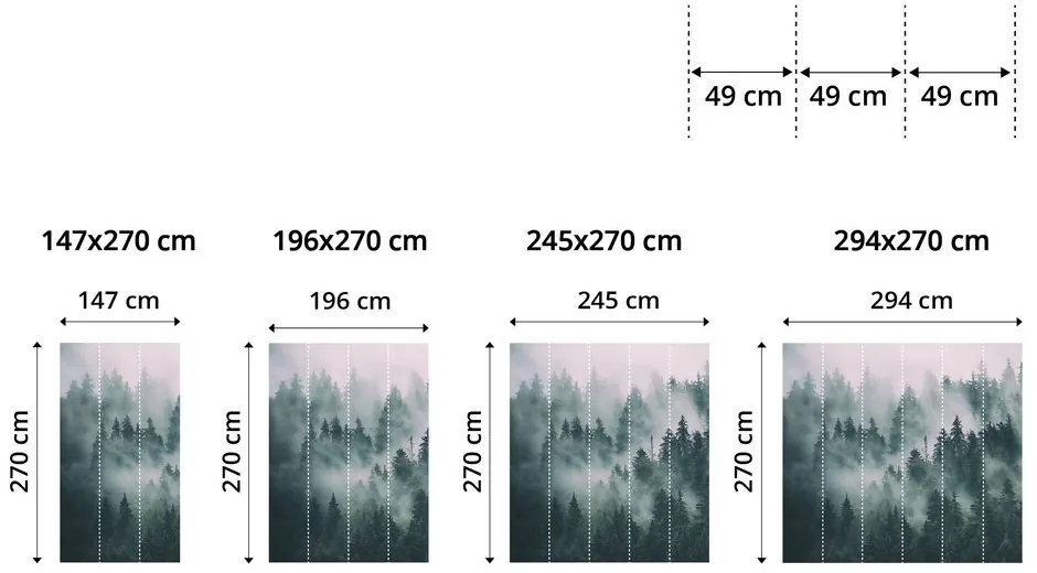 Фототапет – Глухарче на тъмен фон