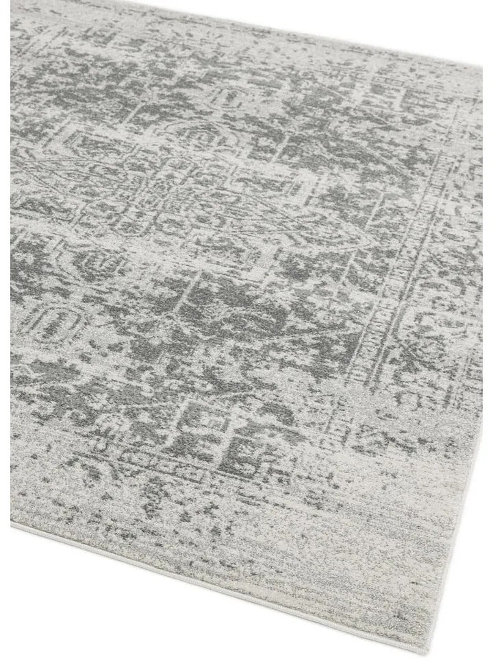 Сив килим 120x170 cm Nova – Asiatic Carpets