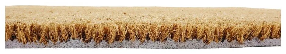 Изтривалка от кокосови влакна 40x60 cm Hello, Bye – Artsy Doormats