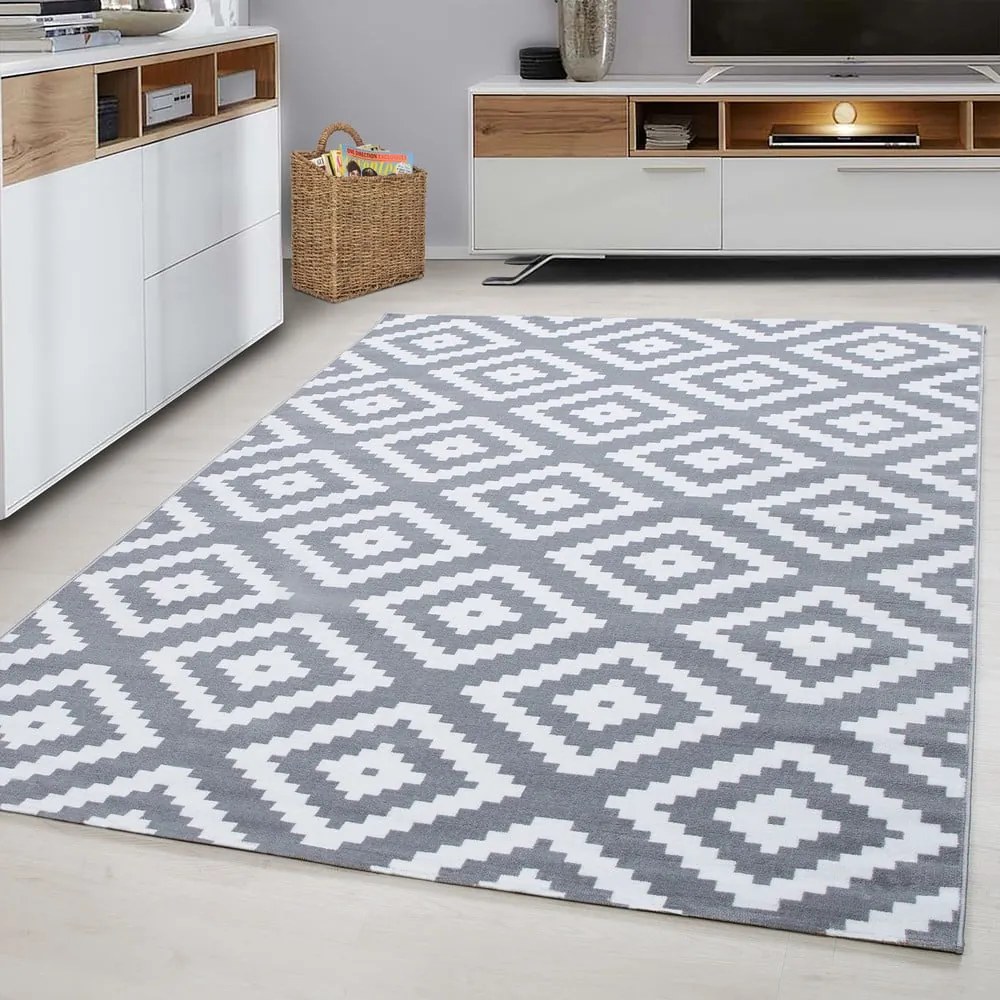 Светлосив килим 120x170 cm Plus – Ayyildiz Carpets