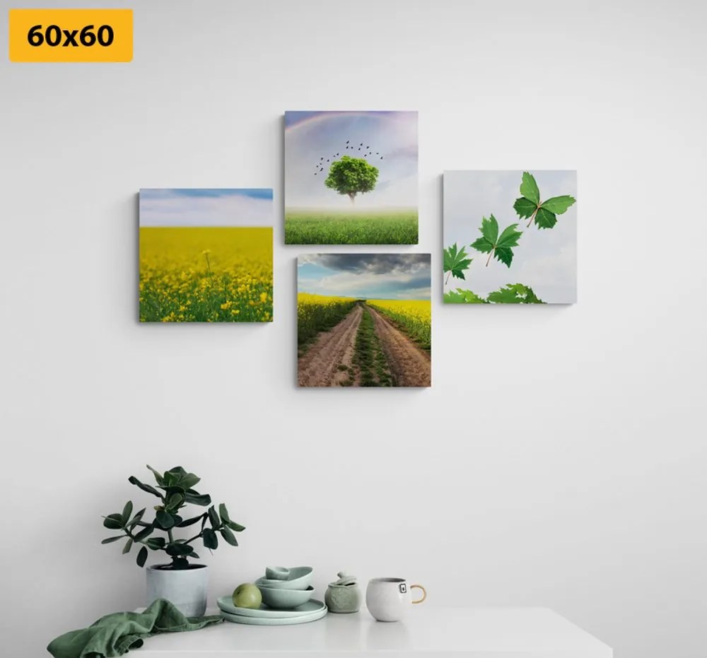 Комплект картини – Ослепителна природа