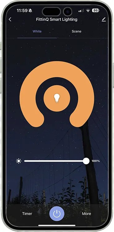 Интелигентна стенна лампа кръгла златиста с 2 Wifi g9 - Pulley