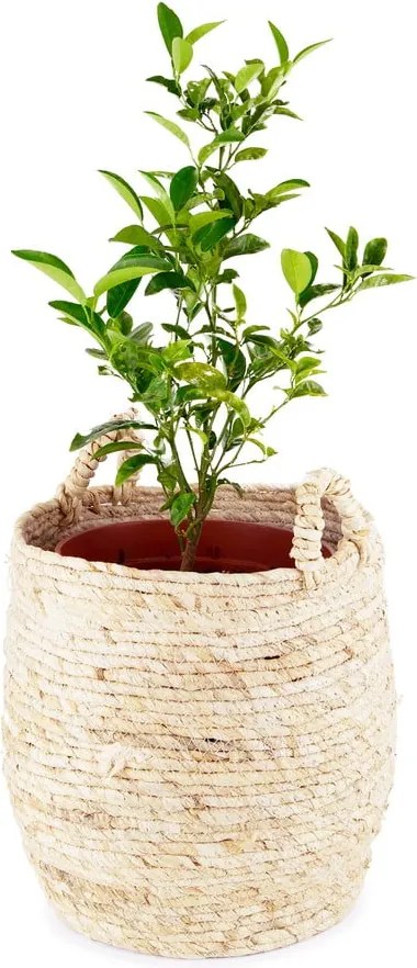 Кошница за съхранение , ø 30 cm Lhassa - Compactor