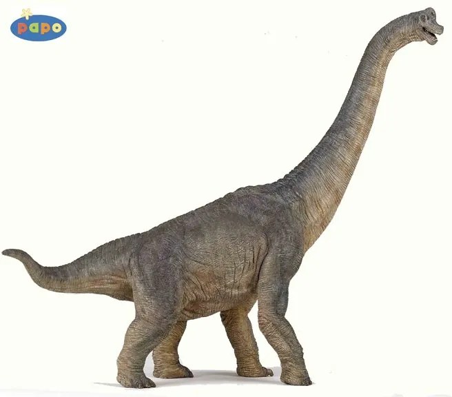 Papo - Фигурка Brachiosaurus 55030G