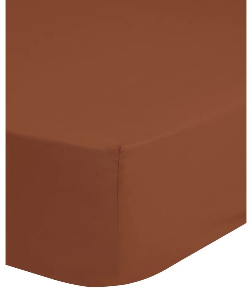 Тъмнооранжев памучен чаршаф с ластик , 160 x 200 cm - Good Morning